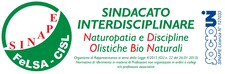 Logo Sinape FeLSA CISL